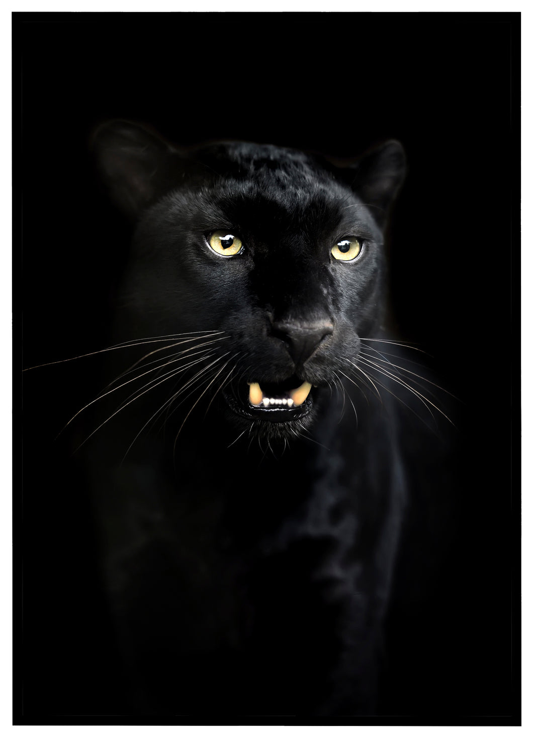 Black Panther - Plakat