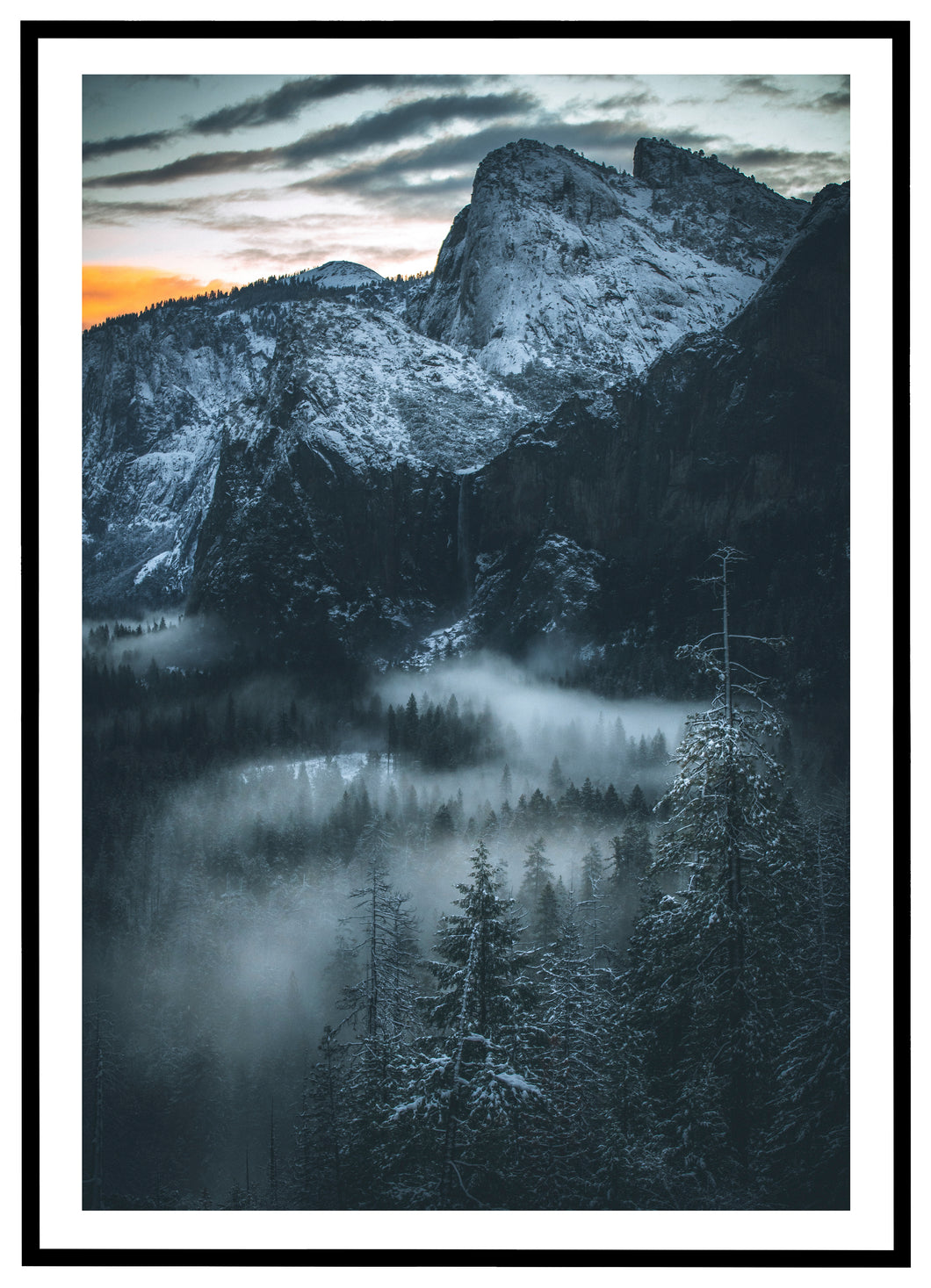 Foggy Forest - Plakat